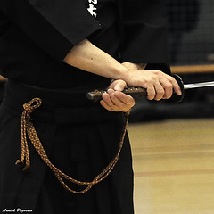 iaido master
